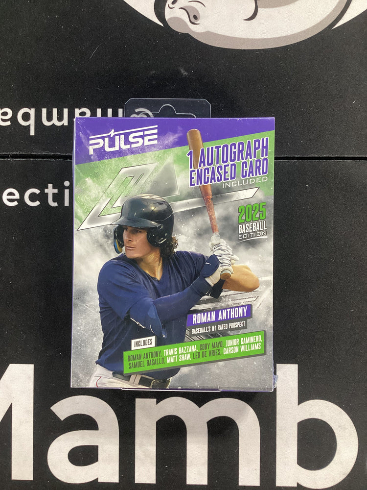 2025 Pulse Baseball Retail Hanger