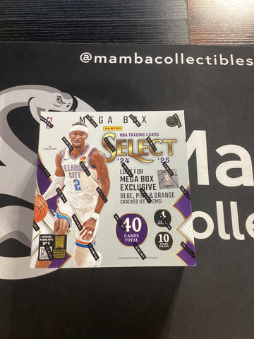 2024-2025 Panini Select Basketball Mega